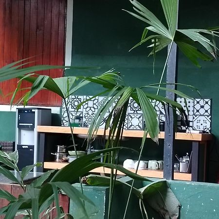 Hotel Boutique The Green Jungle House Puerto Viejo de Talamanca Eksteriør billede