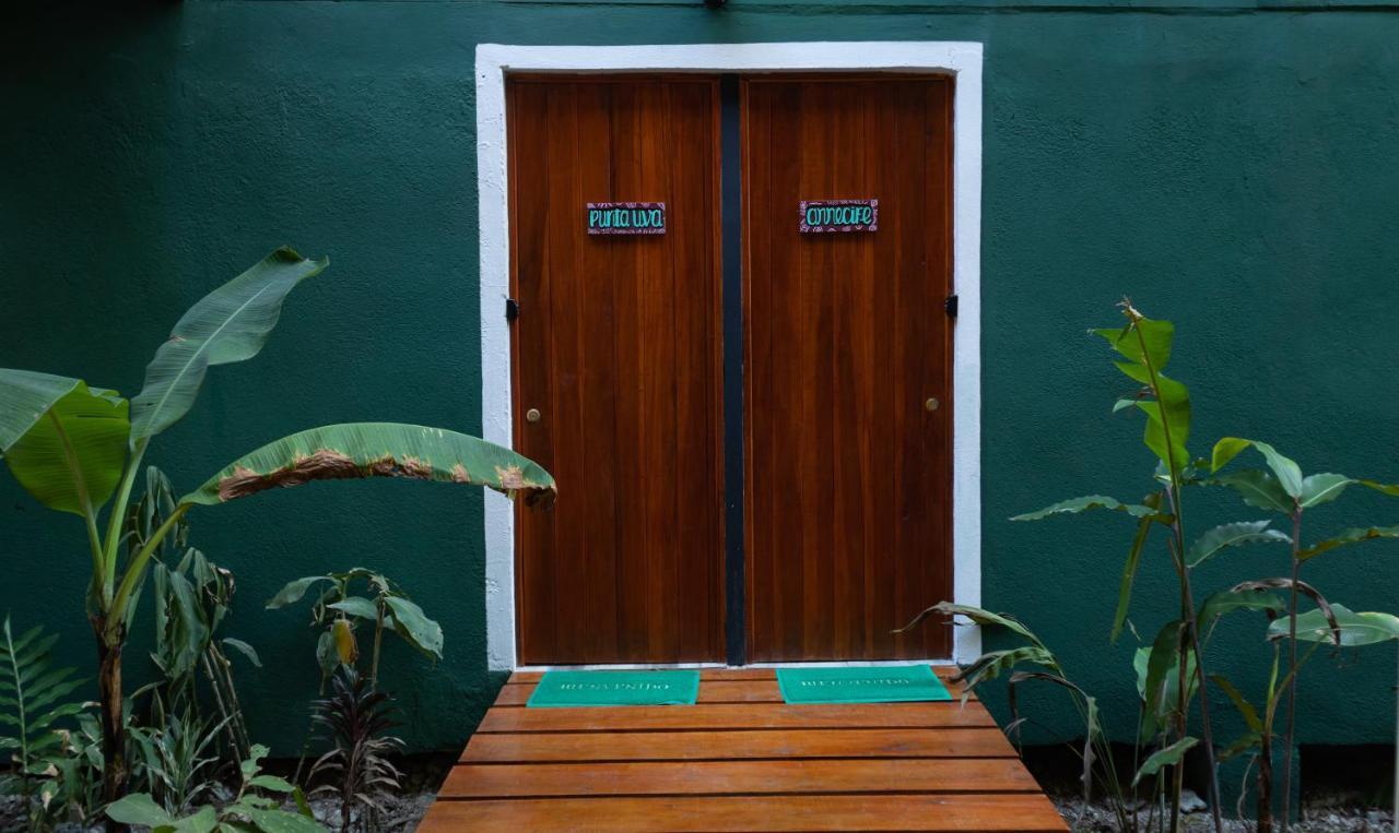 Hotel Boutique The Green Jungle House Puerto Viejo de Talamanca Eksteriør billede