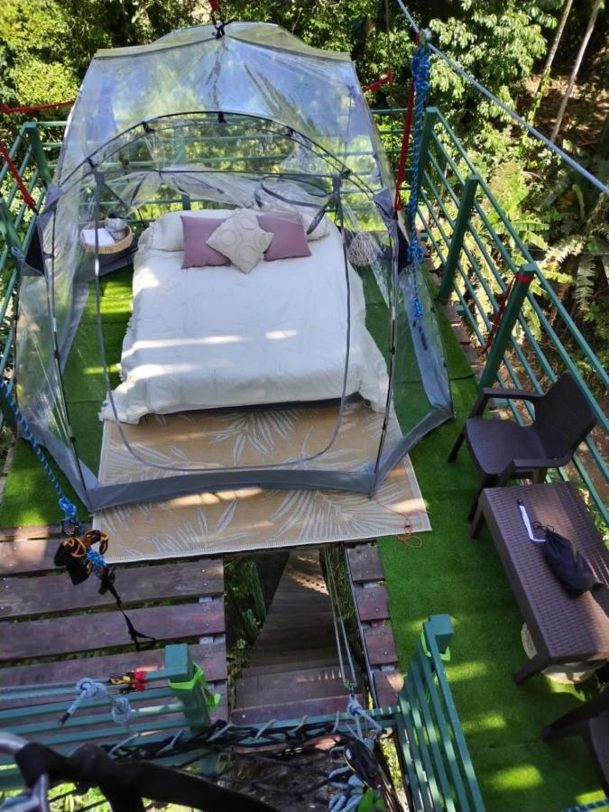 Hotel Boutique The Green Jungle House Puerto Viejo de Talamanca Eksteriør billede