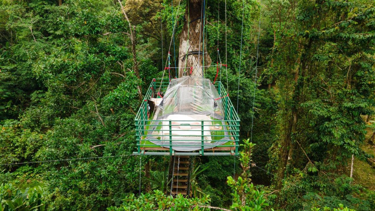 Hotel Boutique The Green Jungle House Puerto Viejo de Talamanca Eksteriør billede