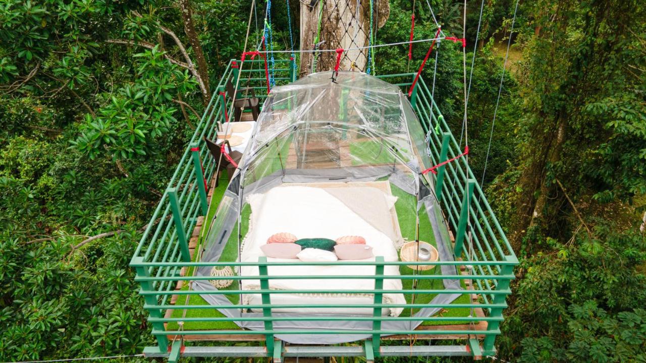 Hotel Boutique The Green Jungle House Puerto Viejo de Talamanca Eksteriør billede