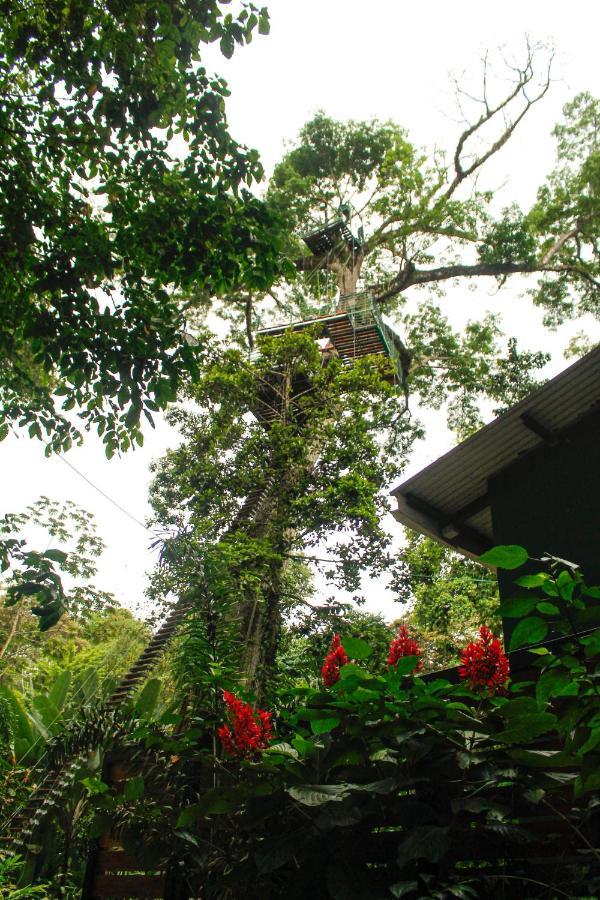 Hotel Boutique The Green Jungle House Puerto Viejo de Talamanca Eksteriør billede