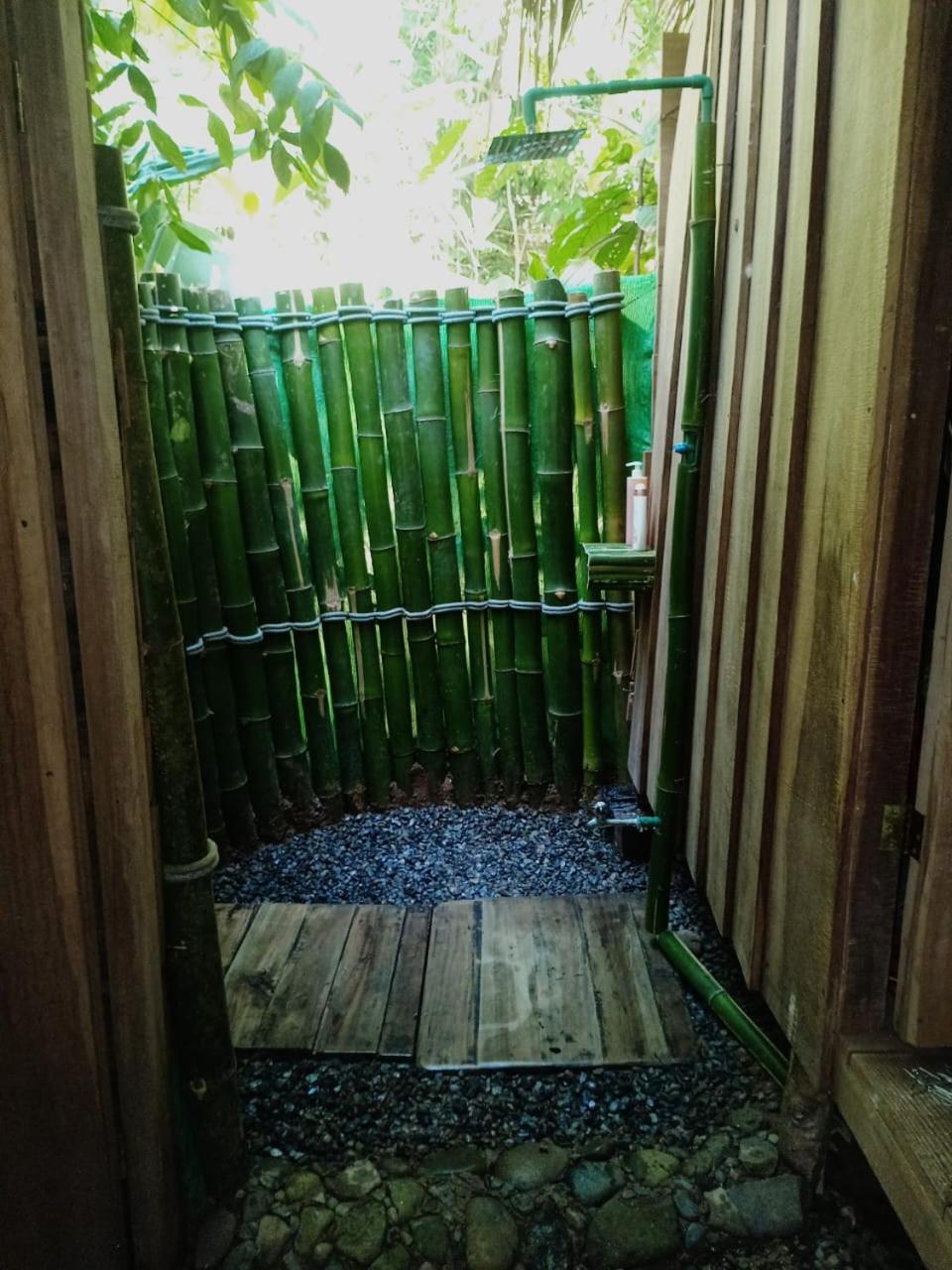 Hotel Boutique The Green Jungle House Puerto Viejo de Talamanca Eksteriør billede