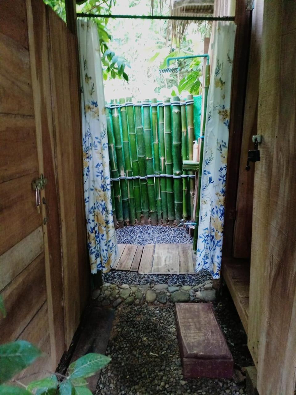 Hotel Boutique The Green Jungle House Puerto Viejo de Talamanca Eksteriør billede